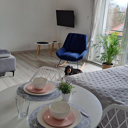 Apartamenty Bujaki Ustron Luaran gambar