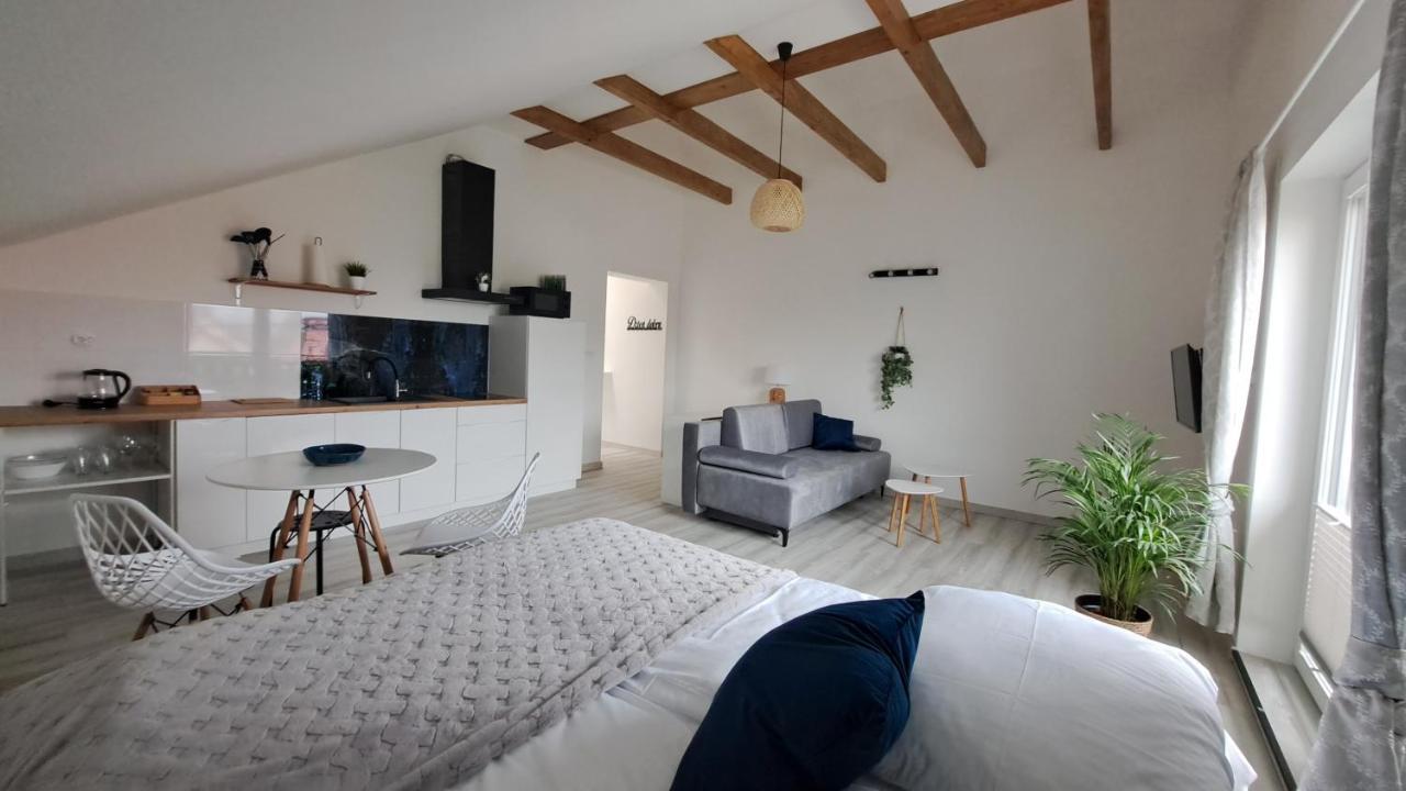 Apartamenty Bujaki Ustron Luaran gambar